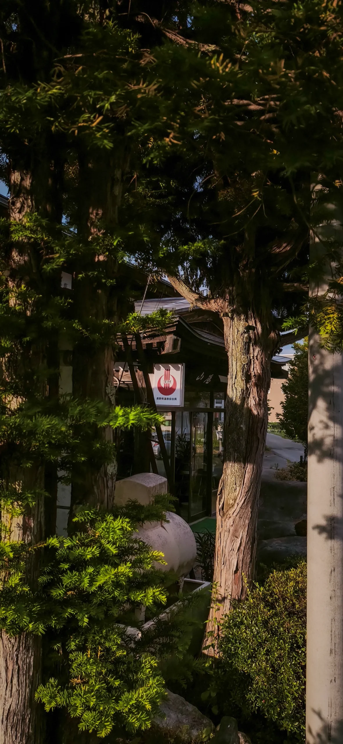 静かな自然の奥にある白馬村の旅館